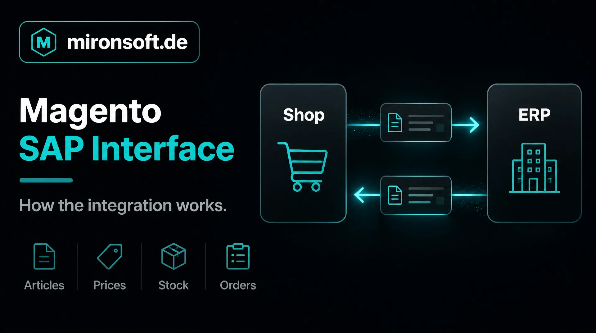 Magento SAP Schnittstelle: So funktioniert die Anbindung
